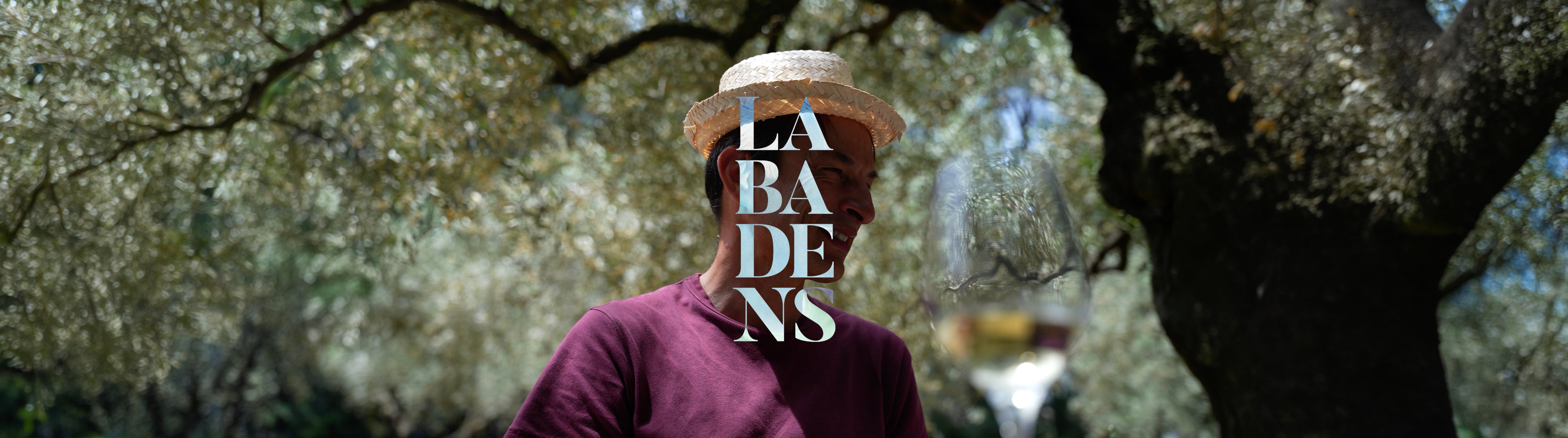 Vins Labadens : histoire, cuvées et vins bio de la Vallée du Rhône