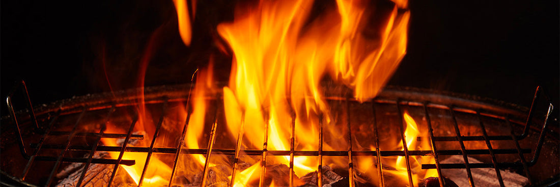 Vin bio et barbecue : quels vins choisir pour sublimer vos grillades ?