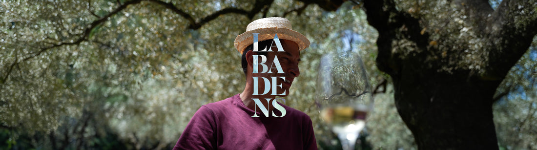 Vins Labadens : histoire, cuvées et vins bio de la Vallée du Rhône