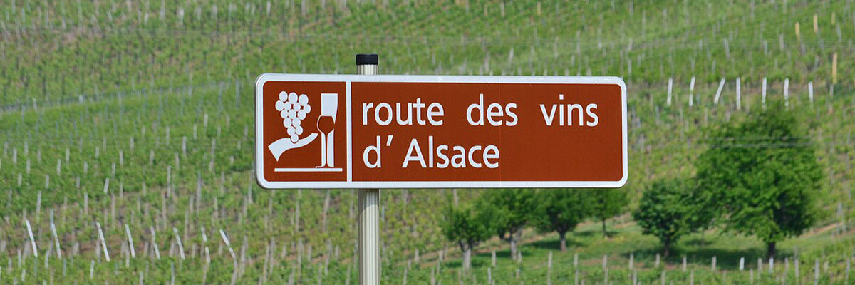 Nos vins d'Alsace