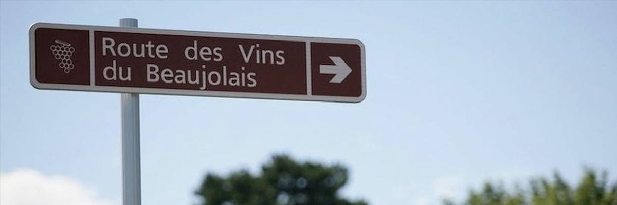 Nos vins du Beaujolais