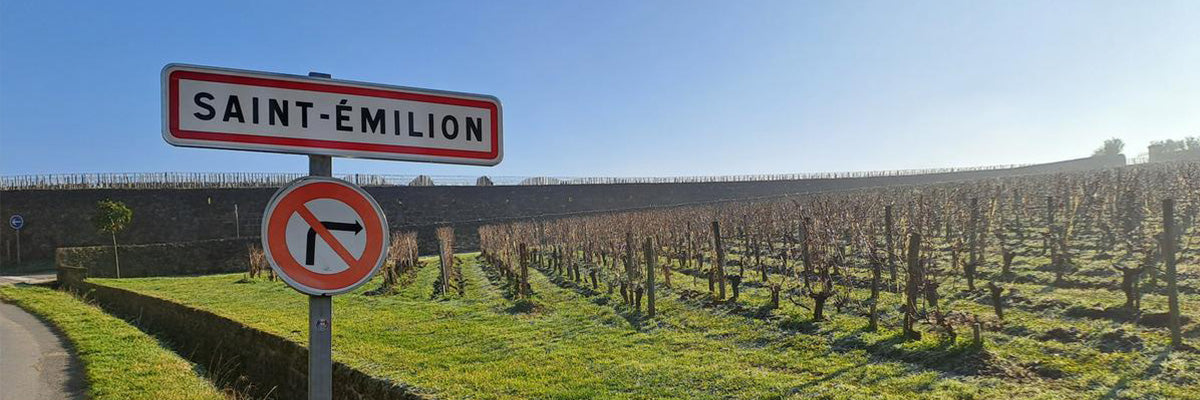 Nos vins de Bordeaux