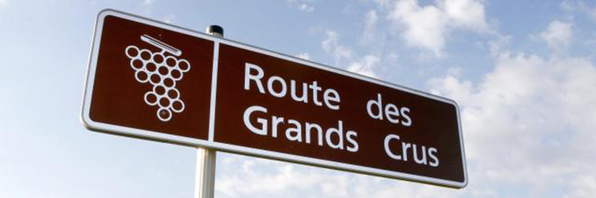 Nos vins de Bourgogne