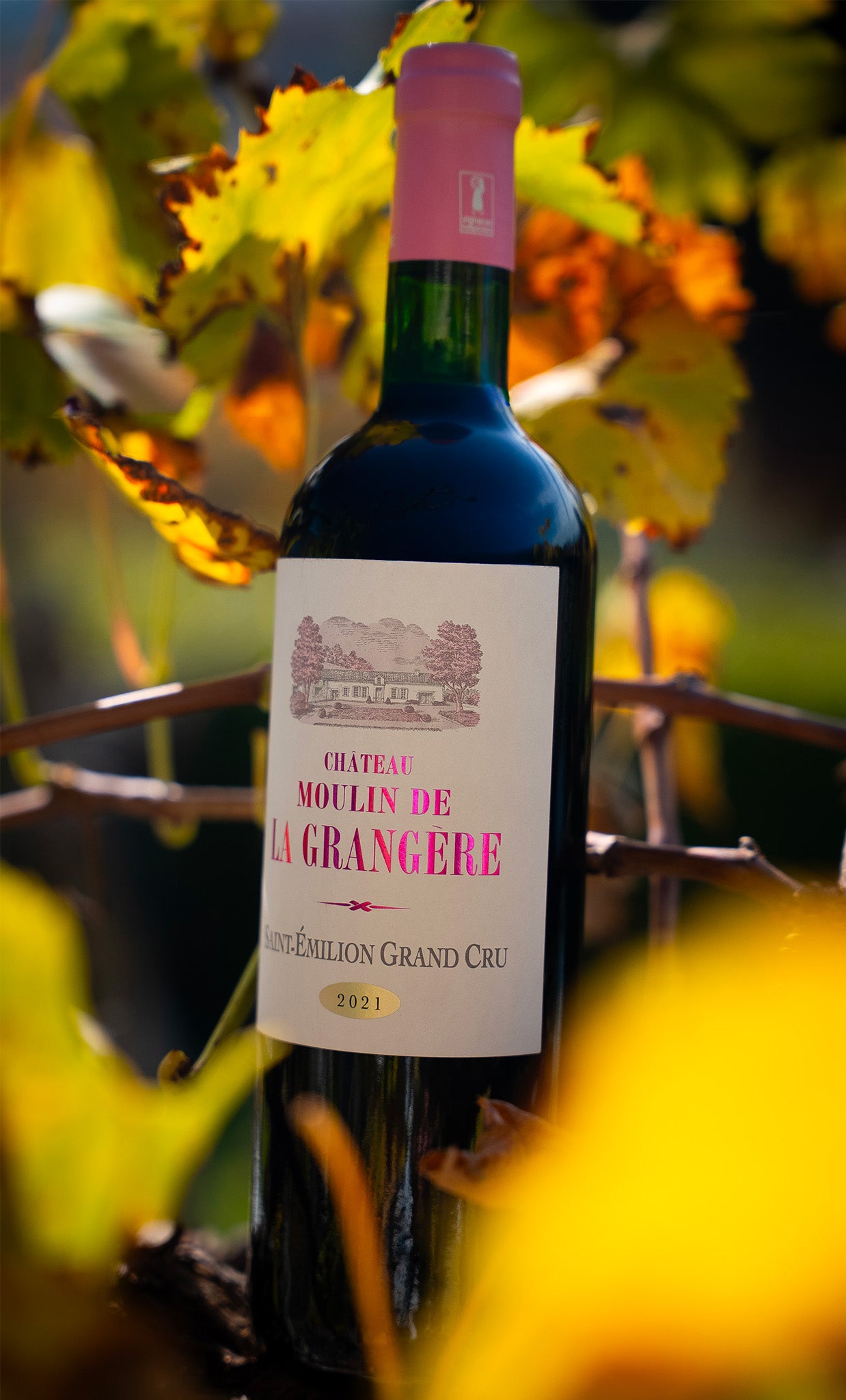 Château Moulin de la Grangère