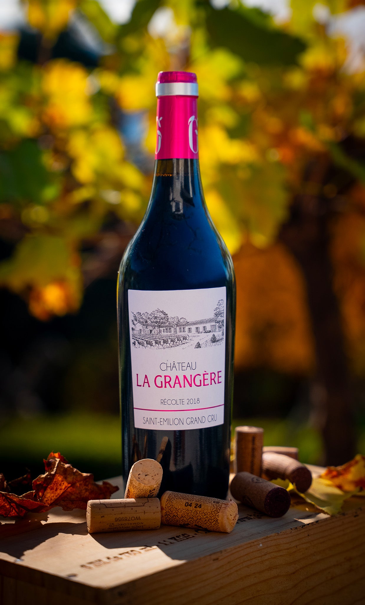 Château La Grangère