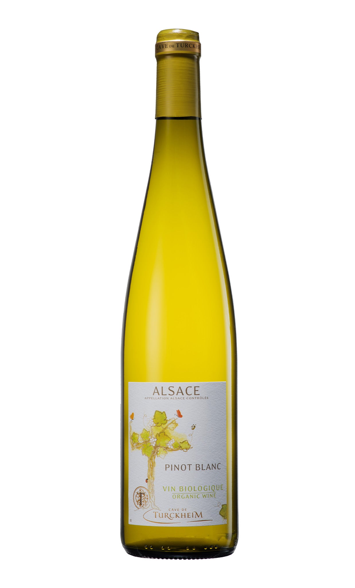 Pinot Blanc