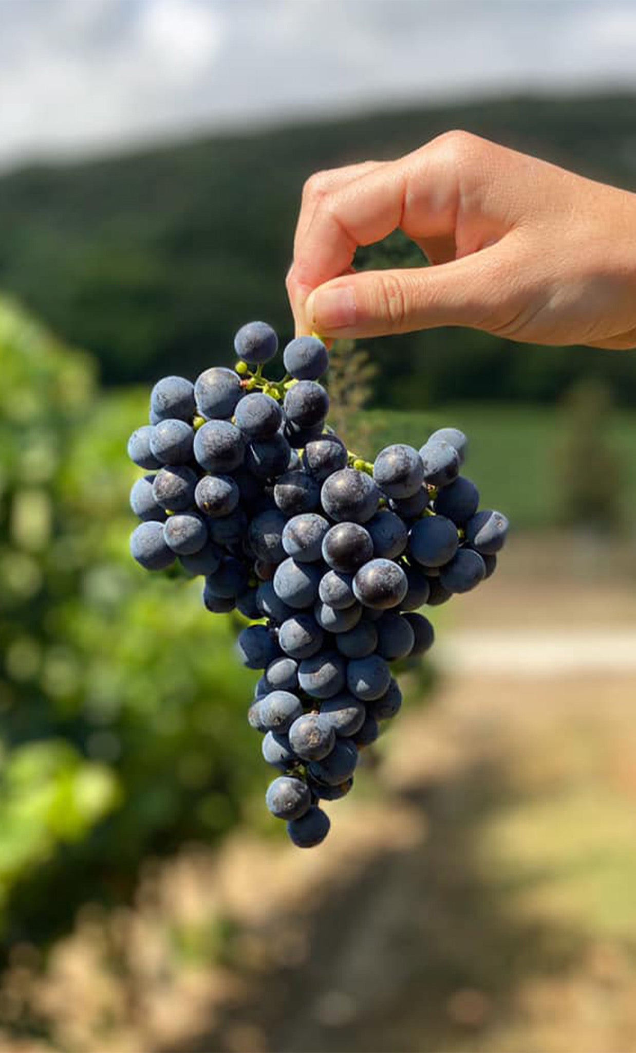 Promenade en Ardèche