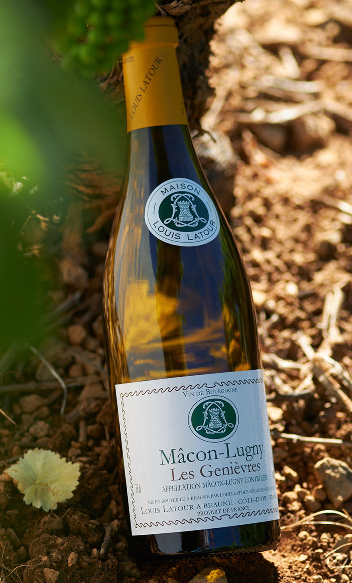 Les Genièvres - Mâcon-Lugny